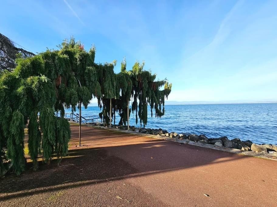 La promenade ombragée du bord du lac Léman, à Évian-les-Bains