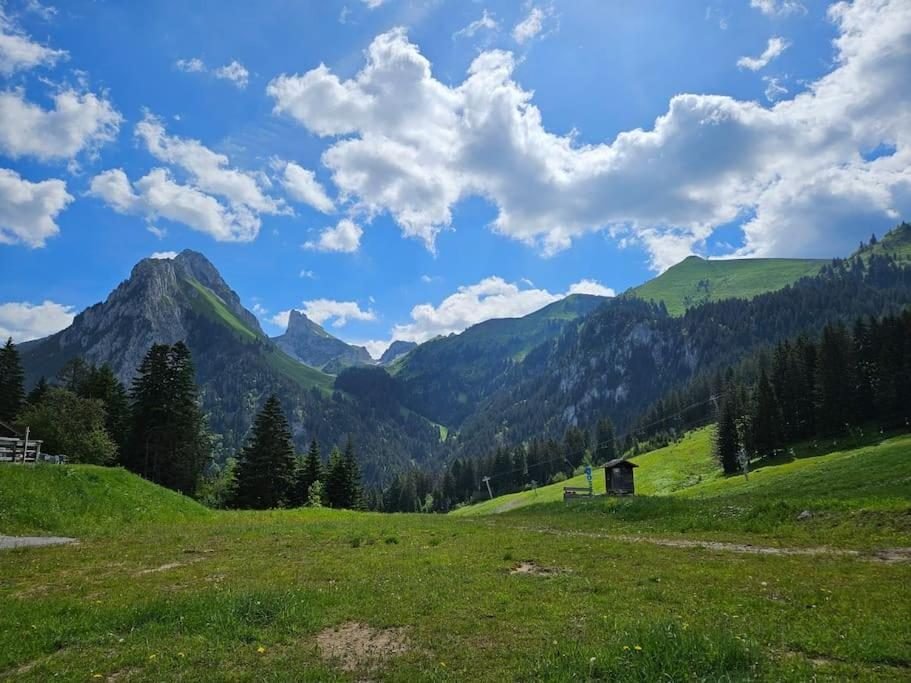 Les alpages et les sommets du Chablais, au-dessus d'Évian-les-Bains