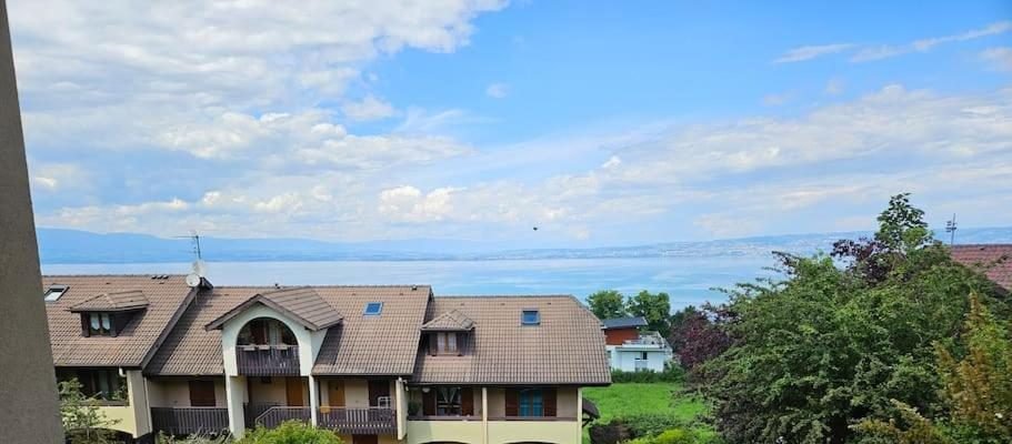 Le panorama sur le lac Léman depuis le balcon de l'appartement